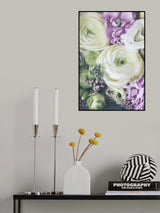 Lovely Ranunculus Poster och Canvastavla