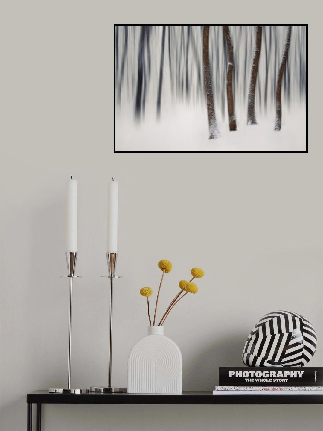 A forest story Poster och Canvastavla