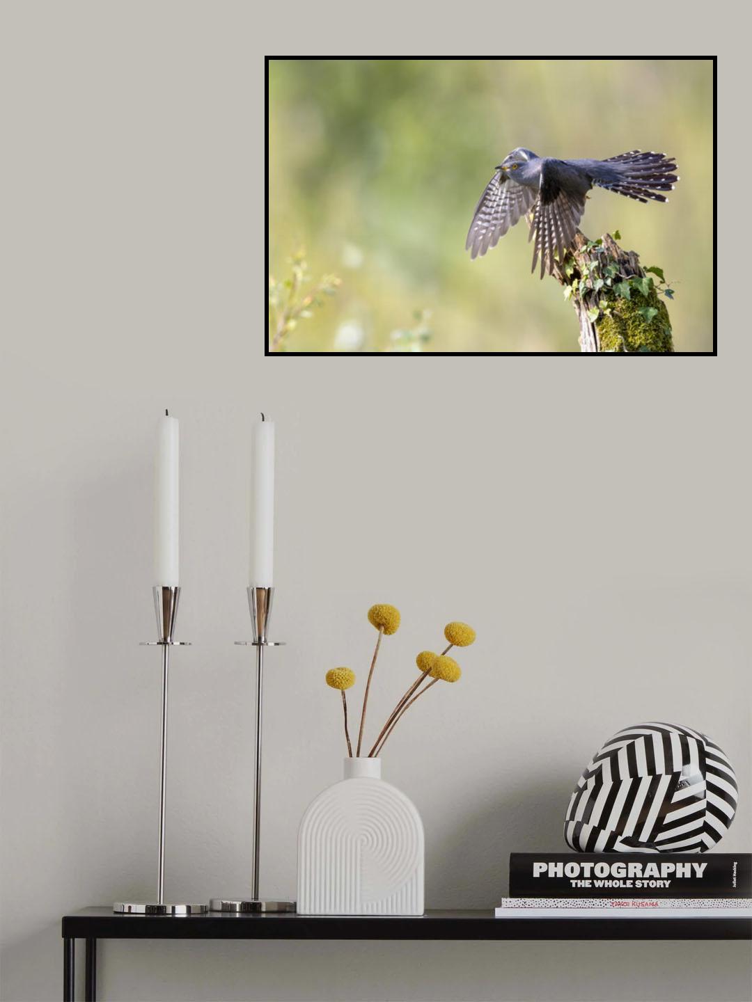 The cuckoo taking off Poster och Canvastavla