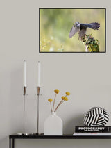 The cuckoo taking off Poster och Canvastavla