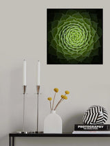 Succulent Poster och Canvastavla