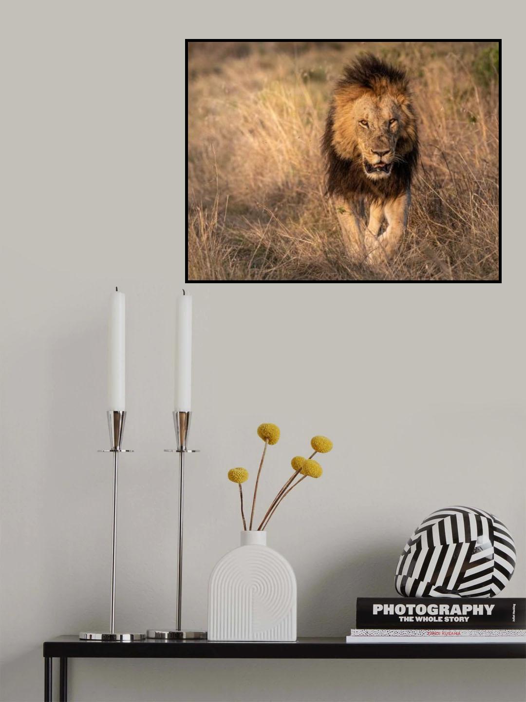 Here come the King Poster och Canvastavla