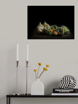 Physalis Poster och Canvastavla