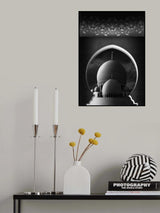 The Domes Poster och Canvastavla