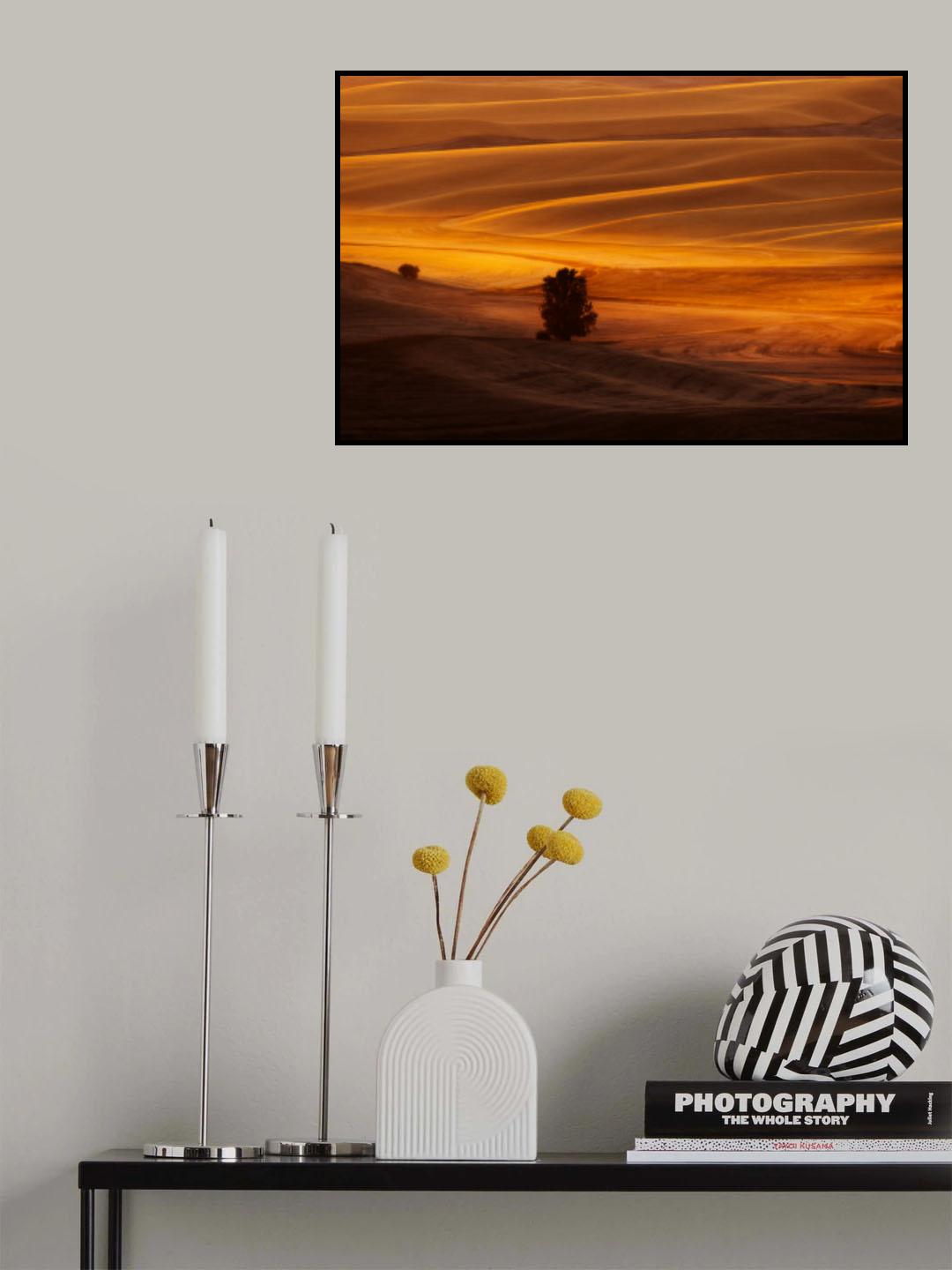 Before Sunset In Fall Poster och Canvastavla