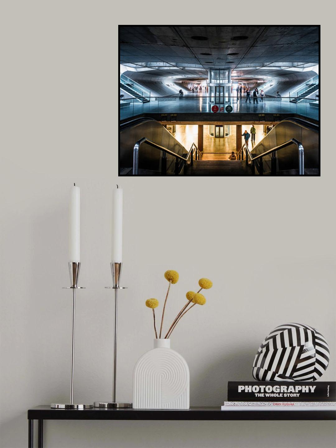 The Levels Poster och Canvastavla