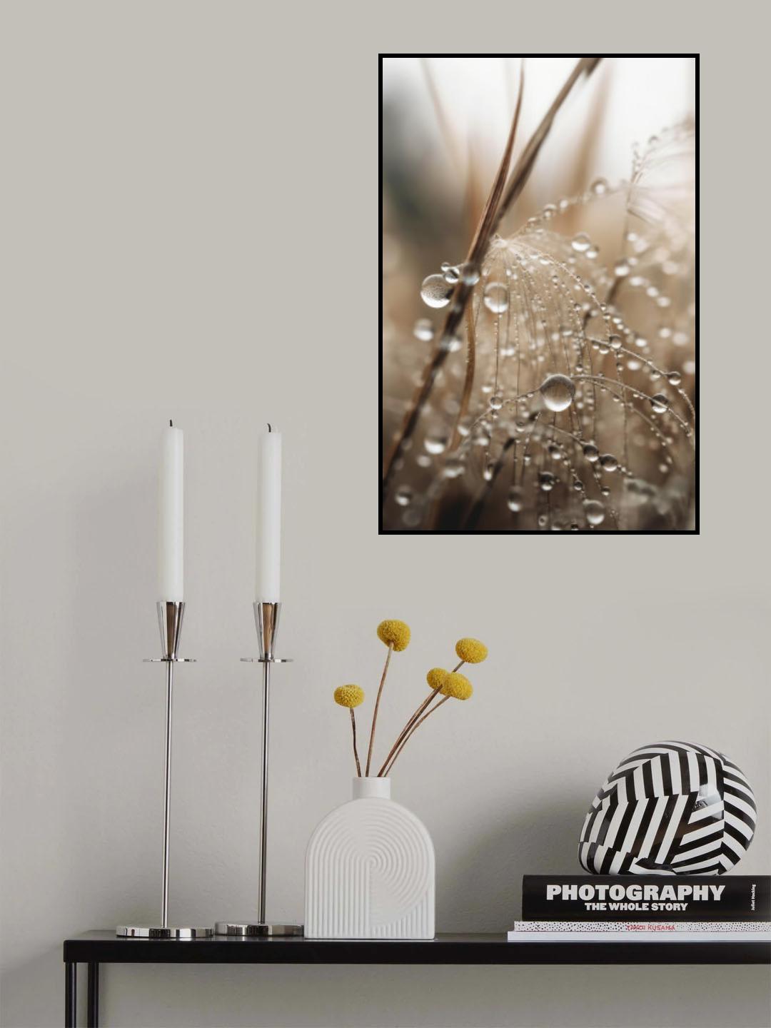 Rain Drops Poster och Canvastavla