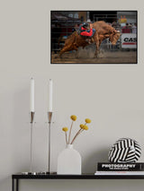 Bullish ... Poster och Canvastavla