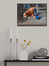 Bull Riding Poster och Canvastavla