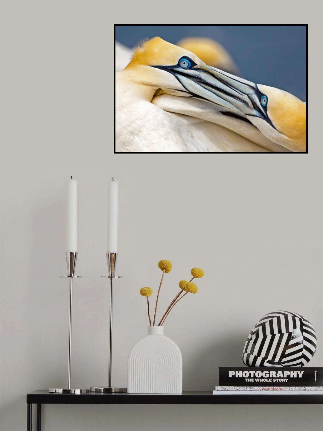 Swords Poster och Canvastavla