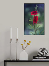 Red Ladybug Poster och Canvastavla