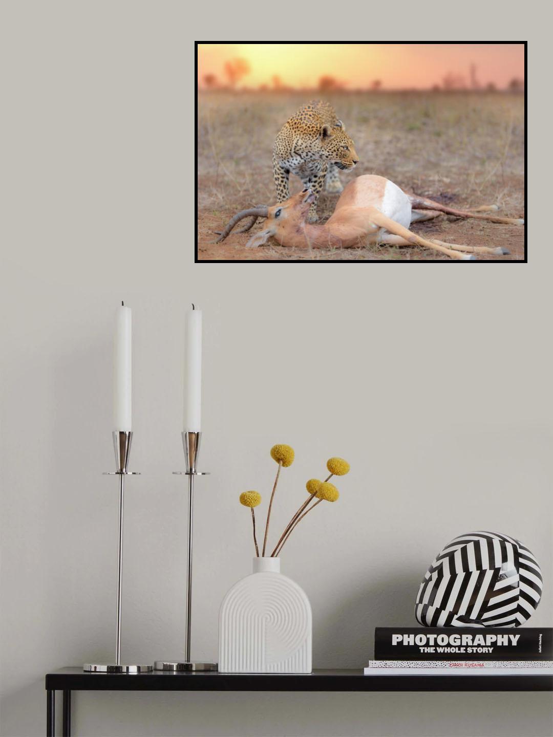 Leopard with a Kill Poster och Canvastavla