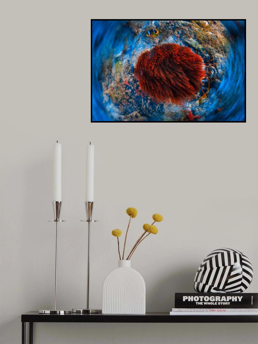 Red anemonfish Poster och Canvastavla