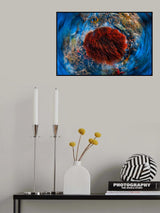 Red anemonfish Poster och Canvastavla