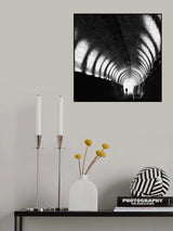 Wings in the Tunnel Poster och Canvastavla