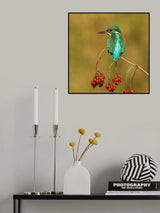 an unusual place Poster och Canvastavla