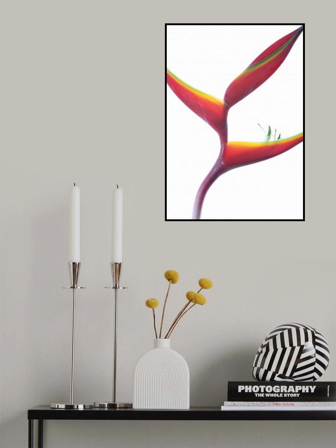 Honey Catcher Poster och Canvastavla
