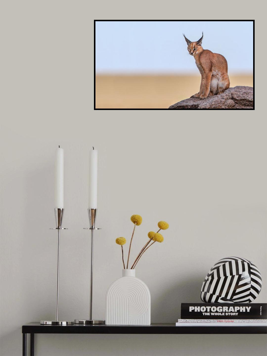 Caracal On Mars Poster och Canvastavla