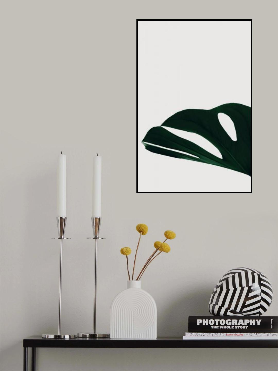 Monstera Natural 21 Poster och Canvastavla