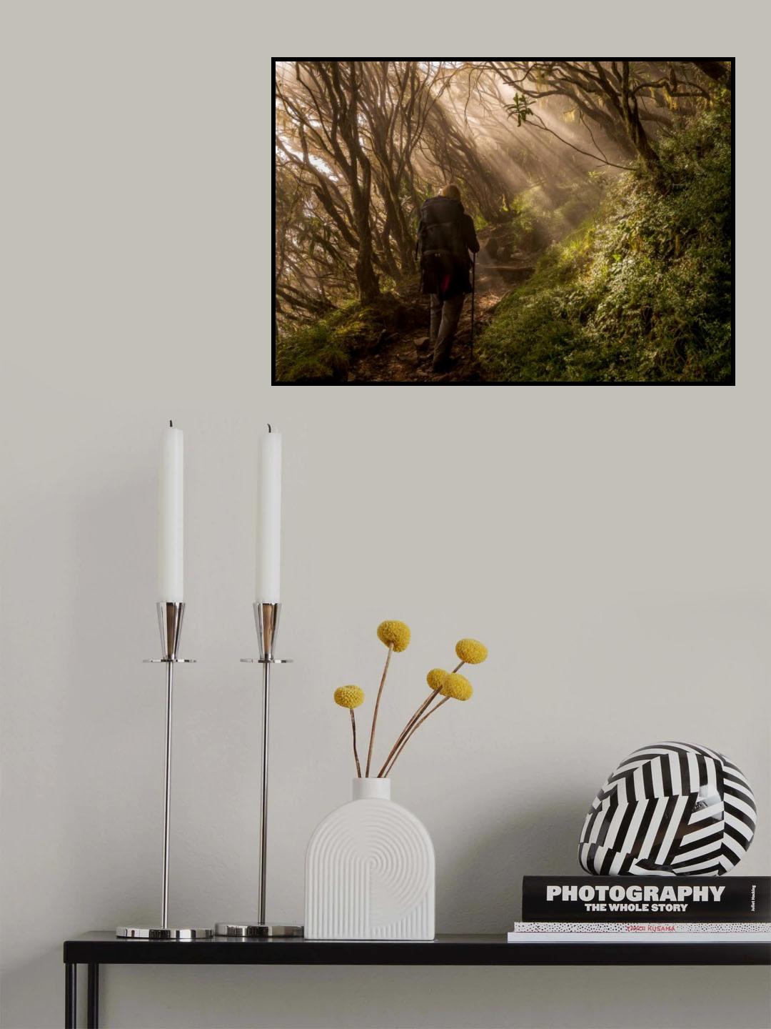 Through the Enchanted Forest Poster och Canvastavla