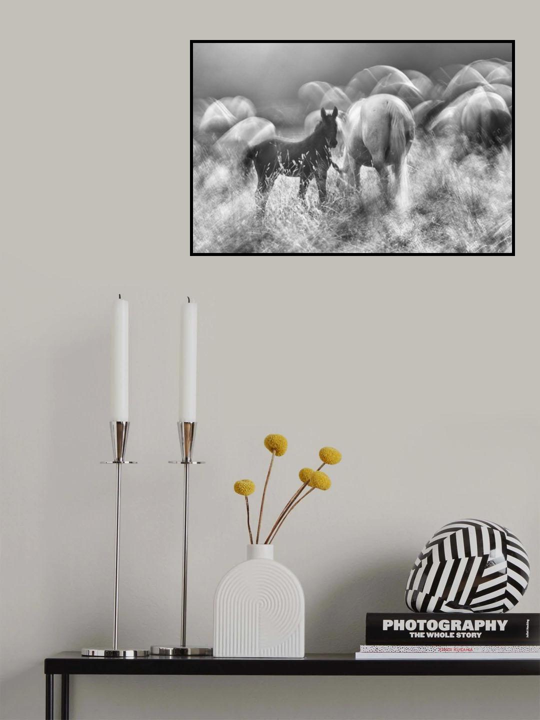 Balck with white Poster och Canvastavla