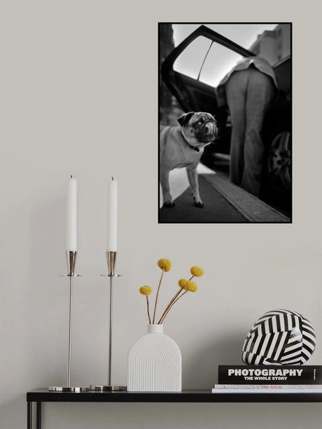 Poster och Canvastavla