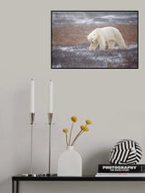Snowfall Poster och Canvastavla