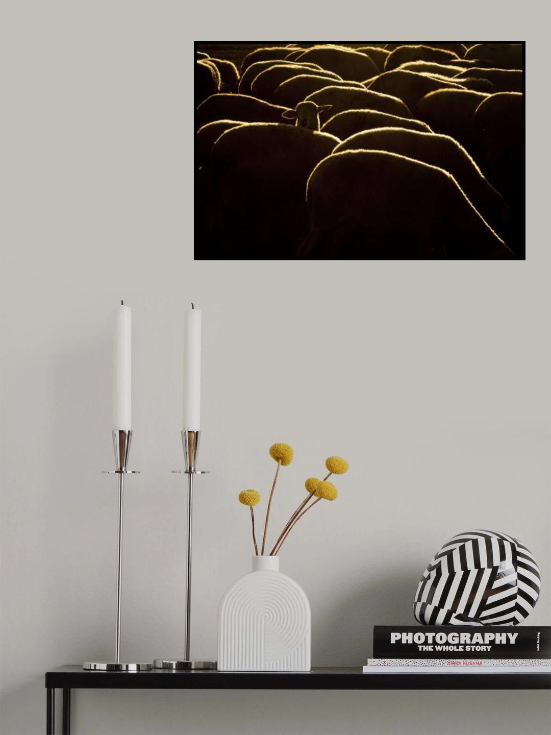 Confused Poster och Canvastavla