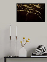 Confused Poster och Canvastavla