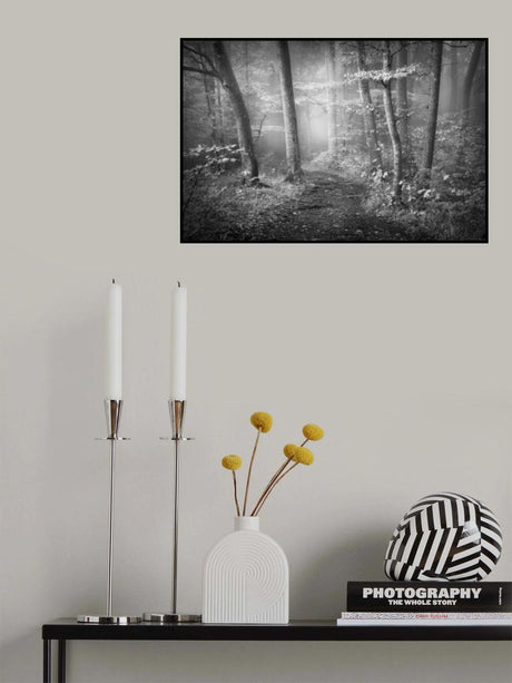 Oktober Trees Poster och Canvastavla