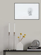 Arctic Fox Poster och Canvastavla