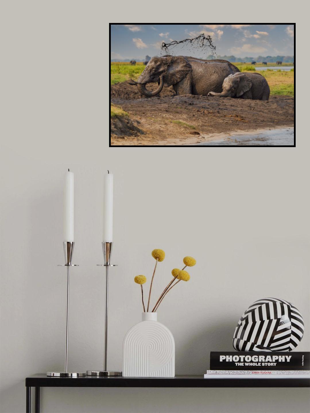 refresh from the African sun Poster och Canvastavla