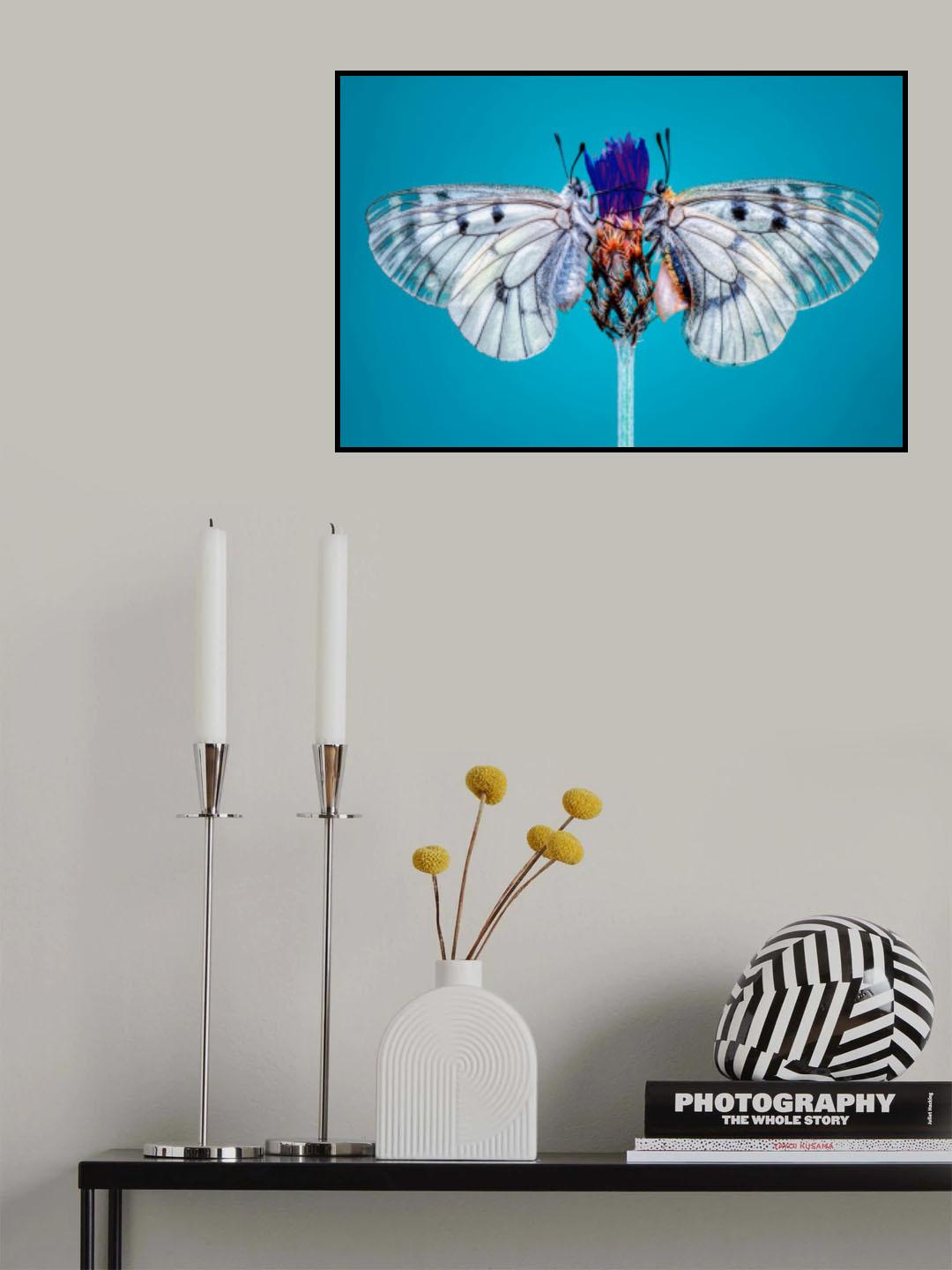 LOVE Poster och Canvastavla