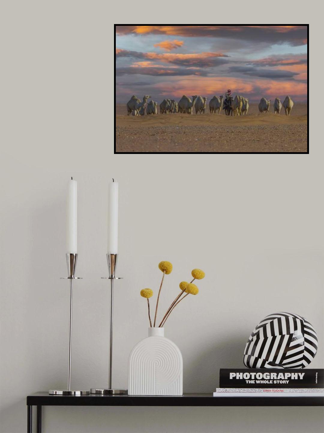 ship of the desert Poster och Canvastavla