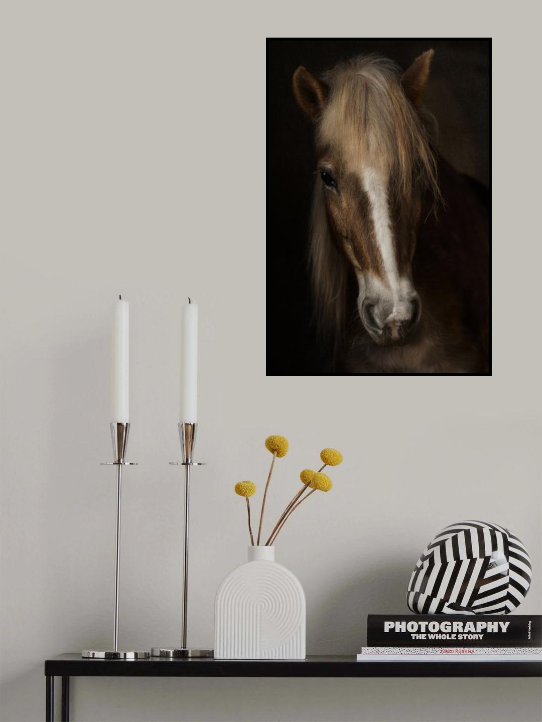 Sapience Poster och Canvastavla