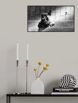n/t Poster och Canvastavla