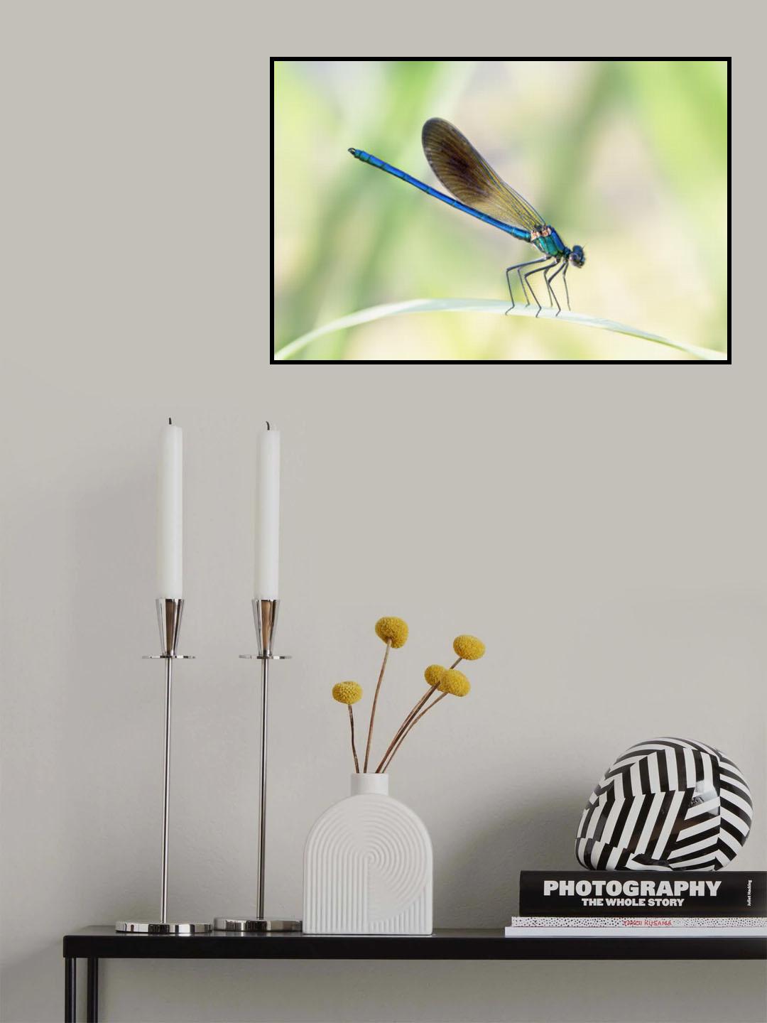 Dragon-fly Poster och Canvastavla