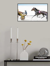 The Follower Poster och Canvastavla