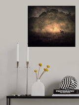 Someday Some Morning Sometime Poster och Canvastavla