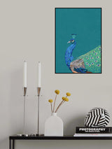 Turquoise peacock Poster och Canvastavla