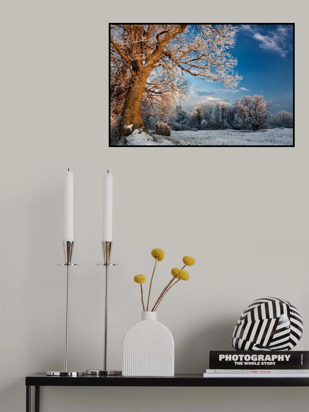 Winter Evening Poster och Canvastavla