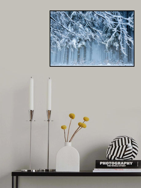 Snowworld Poster och Canvastavla