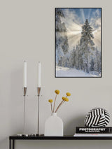 Divine lights Poster och Canvastavla