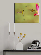 Patiently waiting Poster och Canvastavla