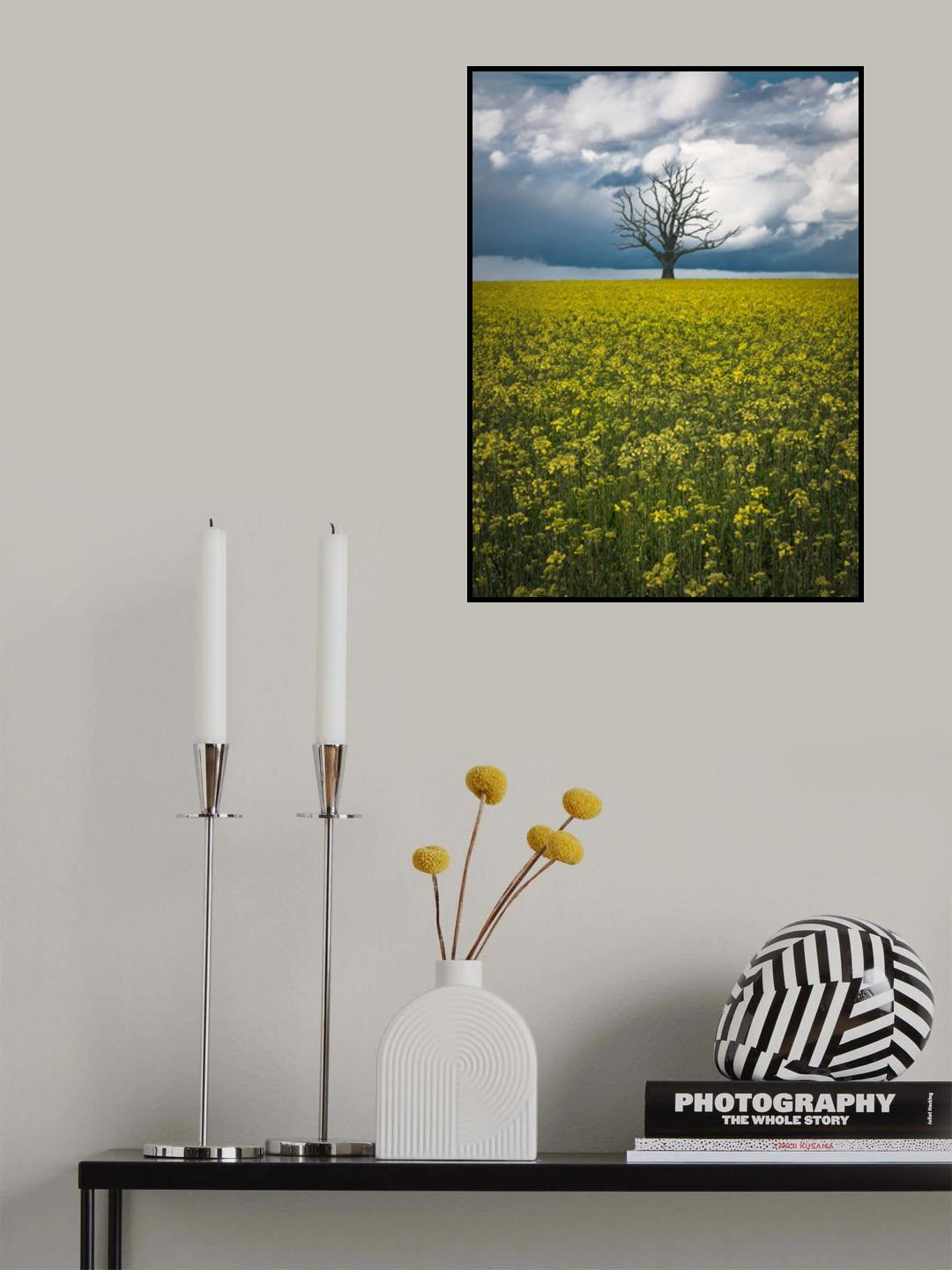 Oaktree on canolafield Poster och Canvastavla