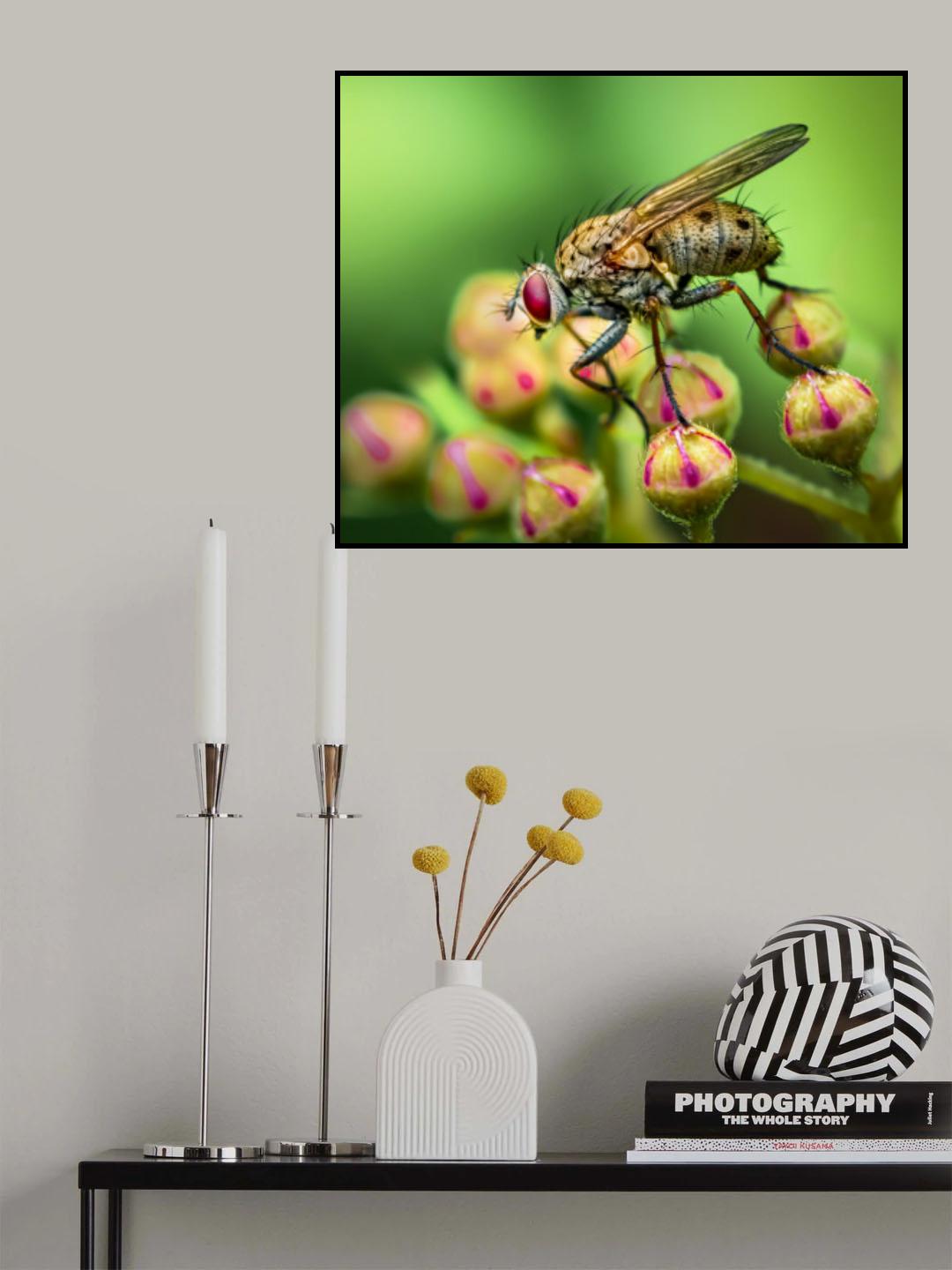 Perched Poster och Canvastavla