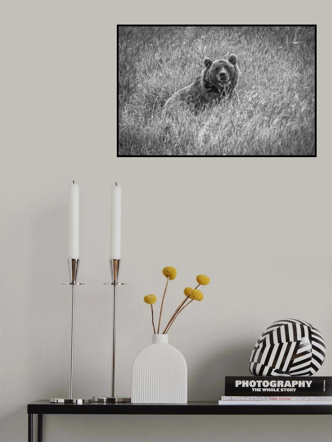 Bear in woods Poster och Canvastavla