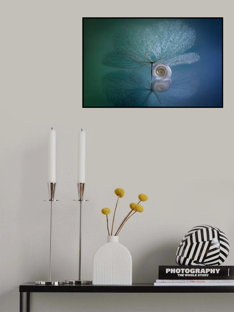 Snail Poster och Canvastavla