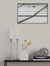 rice field worker Poster och Canvastavla