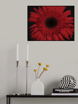 beautiful flower Poster och Canvastavla